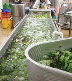 Speirs Food Production 1